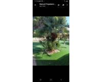 Venta - Apartamento - Campoamor