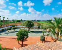 Venta - Apartamento - Catral