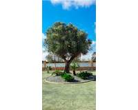 Venta - Apartamento - Catral