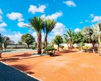 Venta - Apartamento - Catral