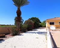 Venta - Apartamento - Catral