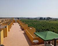 Venta - Apartamento - Daya Nueva