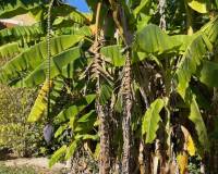 Venta - Apartamento - Daya Nueva