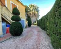 Venta - Apartamento - Daya Nueva