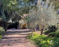 Venta - Apartamento - Daya Nueva