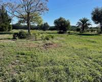 Venta - Apartamento - Daya Nueva