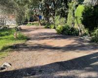 Venta - Apartamento - Daya Nueva