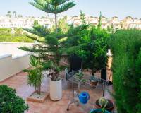 Venta - Apartamento - Orihuela Costa - Los Dolses