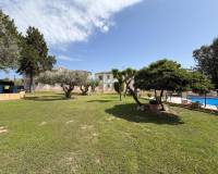 Venta - Apartamento - San Miguel de Salinas - BLUE LAGOON