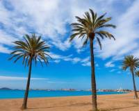 Venta - Apartamento - Torre Pacheco