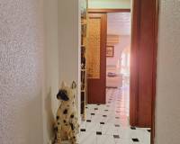 Venta - Apartamento - Torrevieja - PLAYA DEL ACEQUION