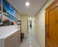 Venta - Apartamento - Torrevieja - Playa del Cura