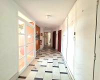 Venta - Apartamento - Torrevieja