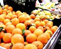 Venta - Apartamento - Torrevieja