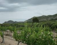 Venta - Apartamento - Yecla