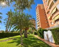 Venta - Apartment / Duplex - Orihuela Costa - Campoamor
