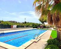 Venta - Apartment / Flat - Orihuela Costa - La Zenia