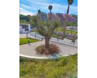 Venta - Apartment / flat - Orihuela - Orihuela Costa