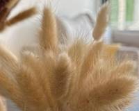 Venta - Bungalow - San Fulgencio