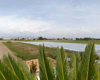 Venta - Casa adosada - San Fulgencio