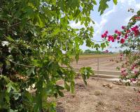 Venta - Casa adosada - San Fulgencio