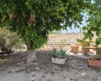 Venta - Casa adosada - San Fulgencio