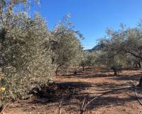 Venta - country house - Hondón de las Nieves