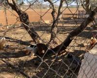 Venta - country house - Hondón de las Nieves