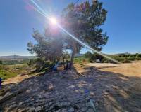 Venta - Detached house - Orihuela - Hurchillo