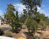 Venta - Detached House / Villa - Guardamar del Segura - El Raso