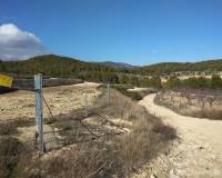 Venta - Finca - Bullas