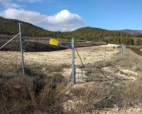 Venta - Finca - Bullas