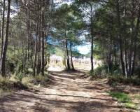 Venta - Finca - Bullas