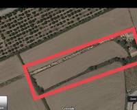 Venta - Finca - Callosa De Segura