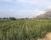 Venta - Finca - Callosa De Segura