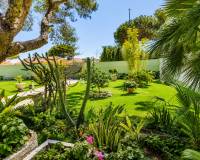 Venta -  - Orihuela Costa