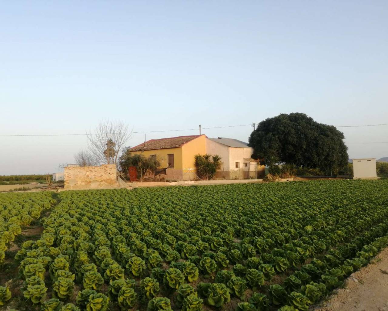  - Venta - Orihuela - Orihuela