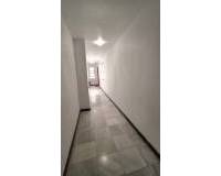 Venta -  - Orihuela - Zona Centro