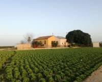 Venta -  - Orihuela
