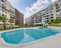 Venta - Penthouse - Orihuela - Campoamor