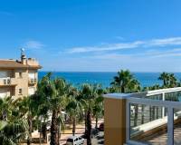 Venta - Penthouse - Orihuela Costa - Aguamarina