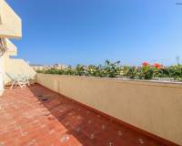 Venta - Penthouse - Orihuela - Punta Prima