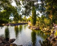 Venta - Penthouse - Torrevieja - Parque las naciones