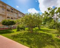 Venta - Penthouse - Torrevieja - Parque las naciones