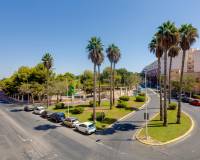 Venta - Penthouse - Torrevieja - Parque las naciones