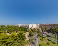 Venta - Penthouse - Torrevieja - Parque las naciones
