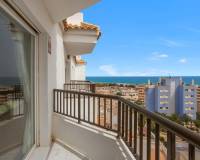 Venta - Penthouse - Torrevieja - Torreblanca