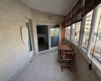 Venta - study - Torrevieja - Playa de los Locos