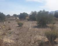 Venta - Terreno - Benferri - HUERTA PUEBLO