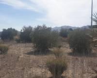 Venta - Terreno - Benferri - HUERTA PUEBLO